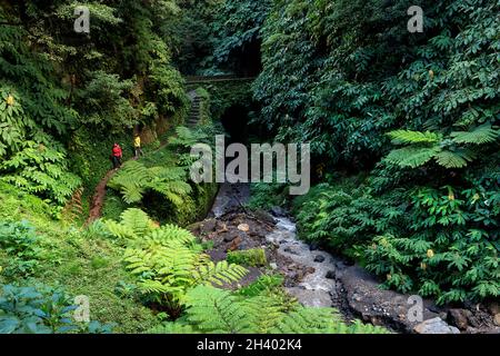 Mère et fils marchant par le ruisseau à la cascade Cascata da Ribeira Quente, île de Sao Miguel, Açores, Portugal Banque D'Images