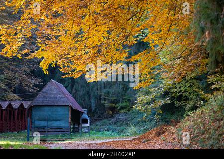 Paysage d'automne - petite maison en bois parmi les arbres d'automne jaunés Banque D'Images