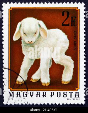 HONGRIE - VERS 1974: Un timbre imprimé en Hongrie montre Lamb, jeune animal, vers 1974 Banque D'Images