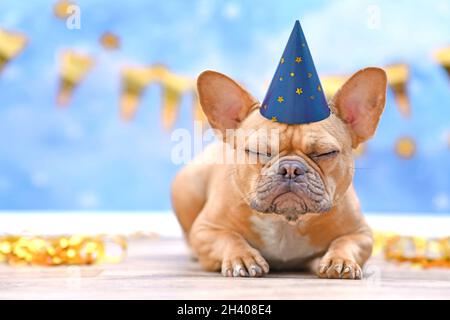 Bulldog français endormi avec chapeau de partie d'anniversaire devant un fond bleu flou avec guirlandes et banderoles de fête Banque D'Images