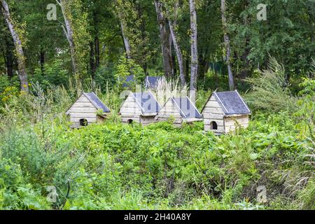 Petite maison en bois pour la sauvagine à la surface de l'étang Banque D'Images