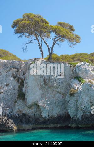 L'Isole Tremiti, Foggia, Italie - juillet 2021 Banque D'Images