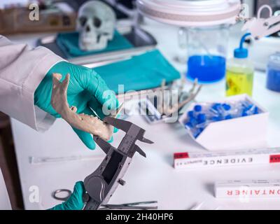 Un scientifique médico-légal mesure la largeur de la mâchoire inférieure de l'adulte assassiné dans un laboratoire de crime, image conceptuelle Banque D'Images