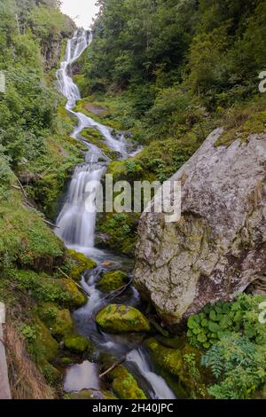 Chute d'eau Saut dans Valle Pesio Banque D'Images