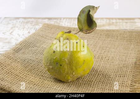 Coing biologique mûr frais avec feuilles sur table en bois gris et linge rugueux Vinrage encore la vie gros plan Banque D'Images