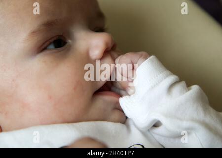 L'image portrait du bébé suçant ses mains.Explorer son corps, développer ses sens ou aider les dents à croître. Banque D'Images