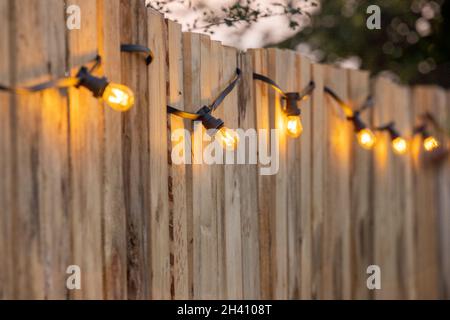 Des ampoules confortables alignées sur une clôture de jardin en bois.Il y a des buissons verts et de l'herbe verte en arrière-plan Banque D'Images