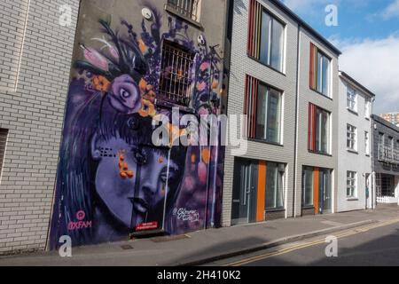 Superbe fresque (par GlimmerTwin32) sur une propriété sur Kensington Street dans le quartier nord de Laine à Brighton, East Sussex, Royaume-Uni. Banque D'Images