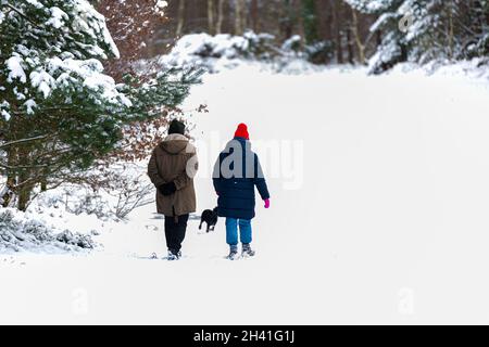 Un couple inconnu qui marche son chien dans un paysage enneigé Banque D'Images