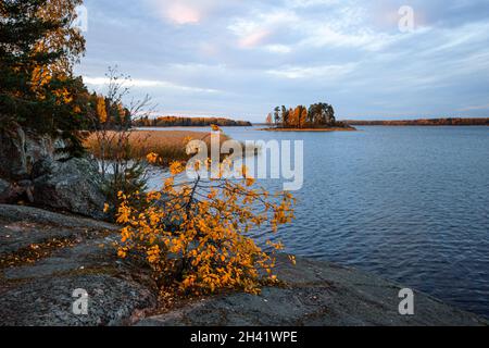 Île dans le parc de Monrepo (mon repos).Paysage d'automne.Vyborg. Banque D'Images