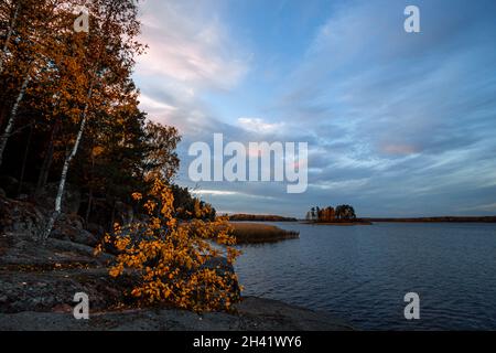 Île dans le parc de Monrepo (mon repos).Paysage d'automne.Vyborg. Banque D'Images