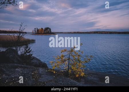 Île dans le parc de Monrepo (mon repos).Paysage d'automne.Vyborg. Banque D'Images