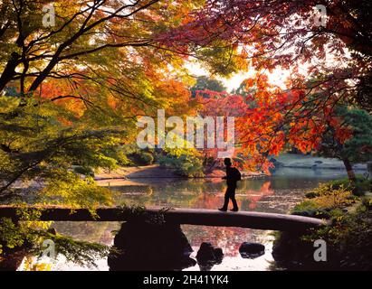 Silhouette d'un homme traversant le pont de Togetsukyo dans le jardin de Rikugien au coucher du soleil en automne, entouré de feuillage d'automne (Tokyo, Japon) Banque D'Images