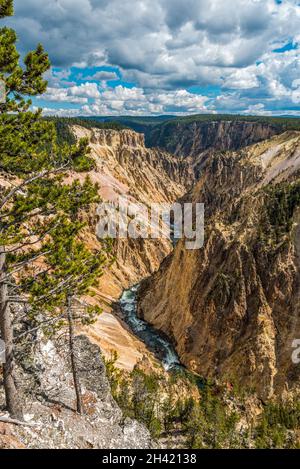 Rivière traversant le populaire Grand Canyon de Yellowstone, États-Unis Banque D'Images