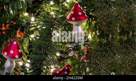 Champignons de verre - amanita - jouet arbre de Noël sur une branche d'épinette verte Banque D'Images