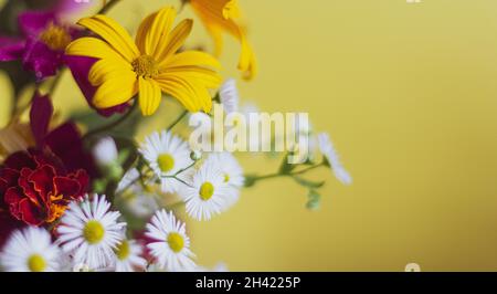 Bouquet de fleurs gros plan.Sur fond jaune, espace d'écriture.Décoration de pâquerettes, pivoines et plantes ornementales, gros plan, foyer sélectif Banque D'Images