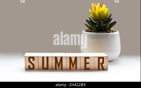 Sur fond blanc avec cactus, cubes en bois avec inscription été sur fond blanc.Concept d'été. Banque D'Images