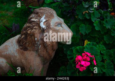 Une statue de lion sur un jardin devant une fleur rose Banque D'Images