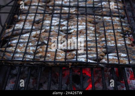 Préparation pour griller des anchois sur du charbon de bois.Poissons ordonnés en rangées et en colonnes.Vitamines et minéraux. Banque D'Images