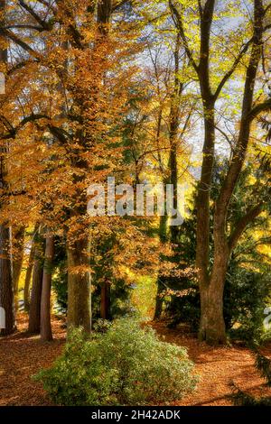 DE - BAVIÈRE: L'automne à Bad Toelz (HDR-Photography) Banque D'Images