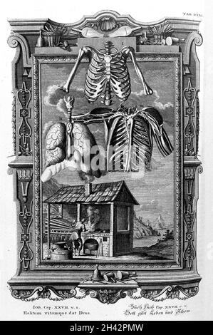 Scheuchzer, 1731-33: Poumons Banque D'Images