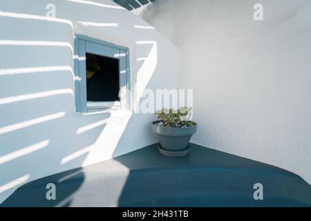petite fenêtre en bois avec une plante sous la lumière du soleil Banque D'Images