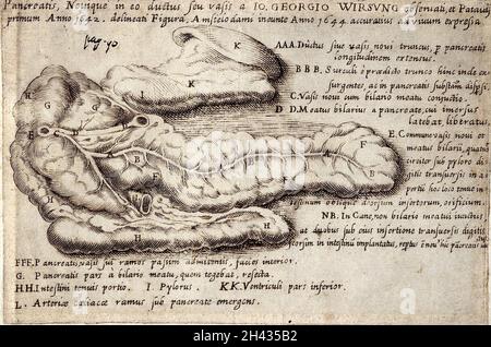 Le pancréas et le canal pancréatique.Gravure après J.G.Wirsung, 1644. Banque D'Images