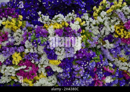 Gros plan grand beau bouquet de fleurs mélangées.Fond de fleur et fond d'écran.Concept de boutique florale .Magnifique Banque D'Images