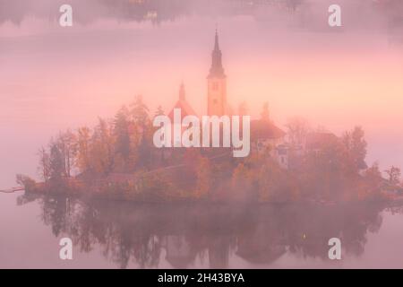 Vue aérienne du matin au lever du soleil sur le lac Bled avec l'église Saint-Marys, la Slovénie dans le brouillard et les arbres d'automne Banque D'Images