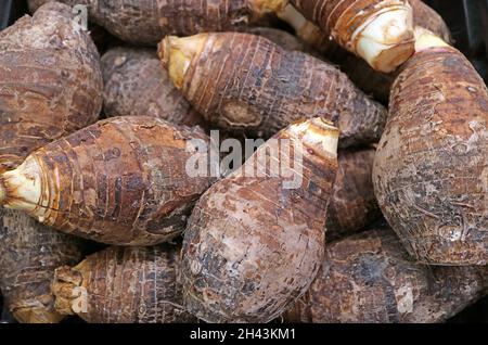 Tas de racines de Taro brut sur un marché Sall Banque D'Images