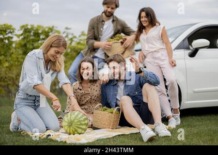 Amis pique-nique près des vignobles Banque D'Images