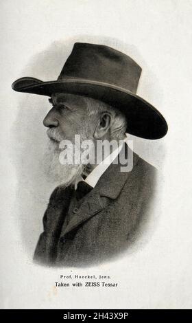 Ernst Heinrich Philipp August Haeckel.Traiter l'impression. Banque D'Images