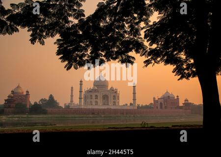 View of Taj Mahal encadré par une couronne de l'arbre au coucher du soleil, Agra, Uttar Pradesh, Inde. Taj Mahal a été désigné comme site du patrimoine mondial de l'UNESCO en 1983. Banque D'Images