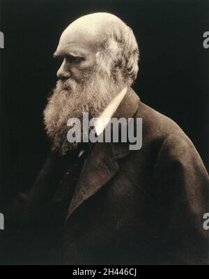 Charles Robert Darwin.Photographie de Julia Margaret Cameron, 1868. Banque D'Images