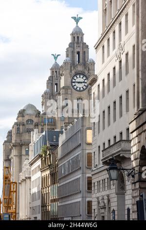 Royal Liver Building de Water Street, City Centre, Liverpool, Merseyside, Angleterre,Royaume-Uni Banque D'Images