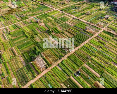 Vue aérienne du village des légumes à Hoi an, Vietnam Banque D'Images