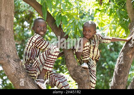 Deux adorables garçons africains noirs en robe double assis sur un manguier posant pour la caméra Banque D'Images