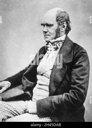Un portrait du biologiste Charles Darwin qui a été le pionnier de l'étude de l'évolution Banque D'Images