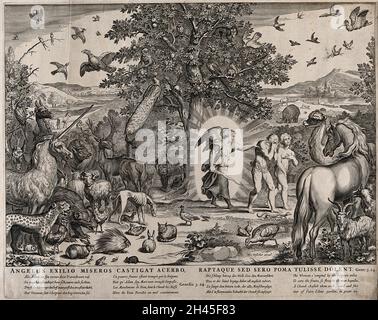 Les animaux regardent alors que l'ange expulse Adam et Eve du paradis.Gravure par C.J.Visscher. Banque D'Images