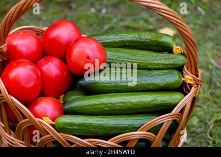 Tomates rouges et concombres verts dans un panier en osier.Gros plan.Photo de haute qualité Banque D'Images