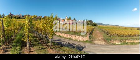 Village de Zellenberg sur une colline dans le vignoble d'Alsace.Panoramique, panorama. Banque D'Images