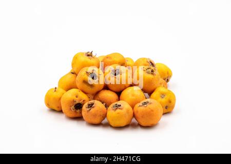 Aubépine jaune sur fond blanc.En combinaison avec un abat-jour jaune vif mûr. Gros plan Banque D'Images