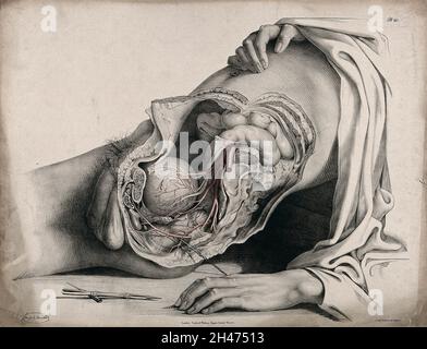 Le système circulatoire : dissection de l'abdomen et de la région pelvienne d'un homme, vue latérale, montrant les intestins et la vessie, avec les artères indiquées en rouge.Un instrument chirurgical est illustré ci-dessous.Lithographie colorée par J. Maclise, 1841/1844. Banque D'Images