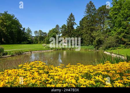 Teich, Kurpark, Bad Pyrmont, Niedersachsen, Allemagne Banque D'Images