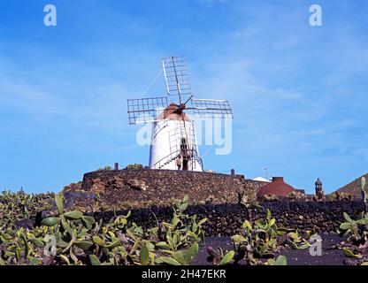 Moulin à vent dans une plantation de poires piquines, Guatiza, Lanzarote, îles Canaries, Espagne. Banque D'Images