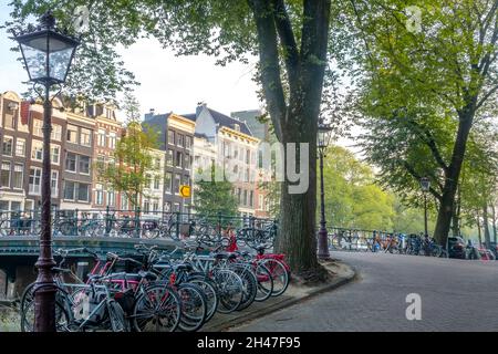 Pays-Bas.Matin sur le canal d'Amsterdam.Beaucoup de bicyclettes sont garées sur le pont et le remblai Banque D'Images
