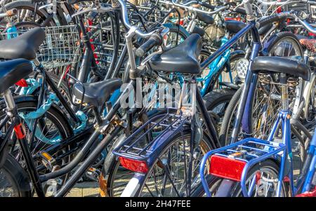 Parking à vélo par beau temps.Il y a plein de vélos anciens et neufs Banque D'Images