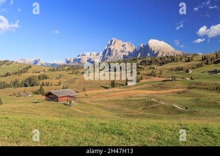 Vue panoramique sur les Dolomites de l'alpe siusi Banque D'Images