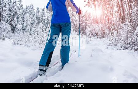 Le skieur se repose en skis dans la forêt enneigée d'hiver Banque D'Images