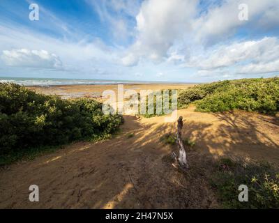Littoral atlantique, Ile d'Oléron, Charente Maritime, France. Banque D'Images